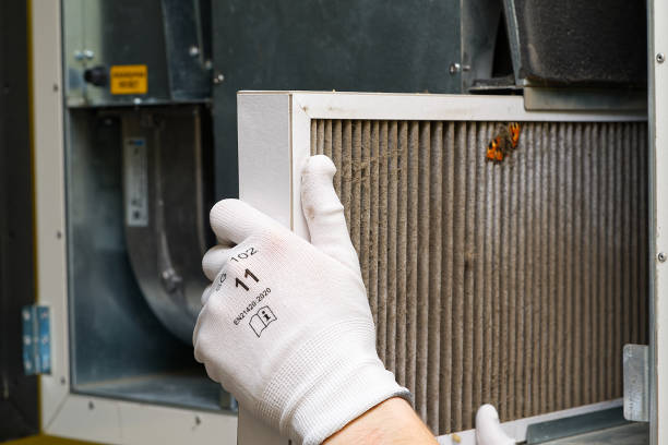 Air Quality Test in Bowling Green, FL